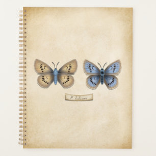 Agenda Escasez de mariposa azul grande Modelo de cosecha 