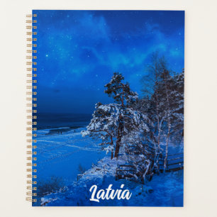 Agenda Escena de invierno nocturna con pinos cubiertos de