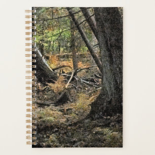 Agenda Escena forestal de otoño