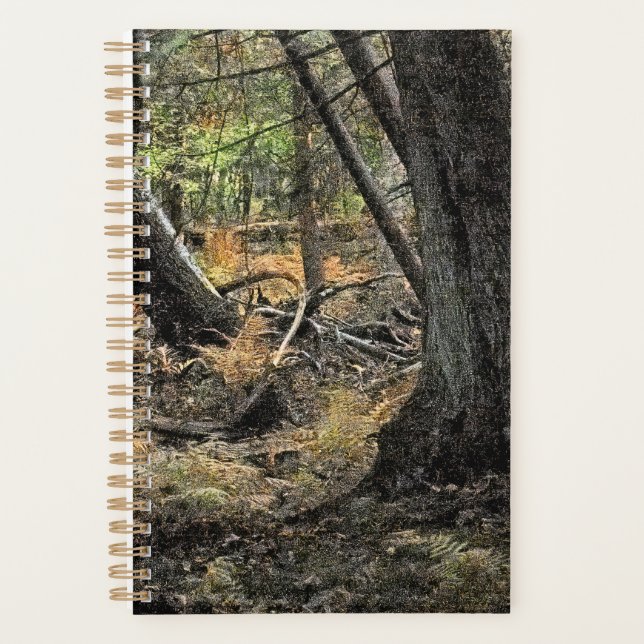 Agenda Escena forestal de otoño (Anverso)