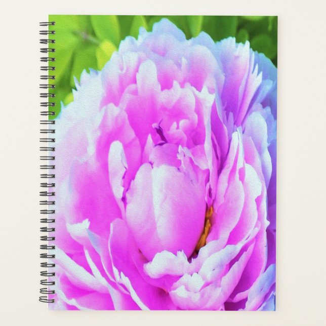 Agenda Espléndido detalle de flor de peones rosados doble (Anverso)