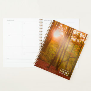 Agenda Esplendor de otoño