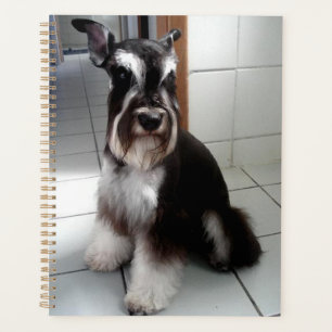 Agenda Estaciónes en miniatura de Schnauzer negro y plate