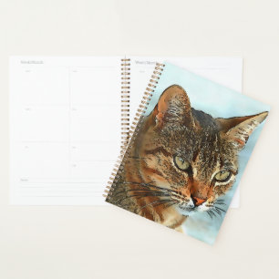 Agenda Estilo Personalizado artístico Tabby Cat RB