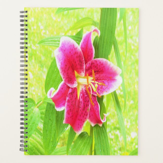 Agenda Estrella rosa profunda bonito Lily en verde anime (Anverso)
