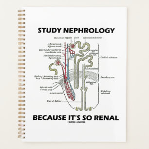 Agenda Estudiar la nefrología porque es tan renal