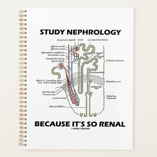 Agenda Estudiar la nefrología porque es tan renal (Anverso)