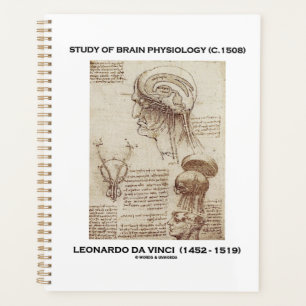 Agenda Estudio de Fisiología Cerebral (c. 1508) da Vinci