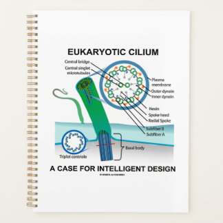 Agenda Eukaryotic Cilium Un Funda De Diseño Inteligente