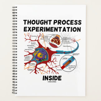 Agenda Experimentación del proceso de reflexión dentro de