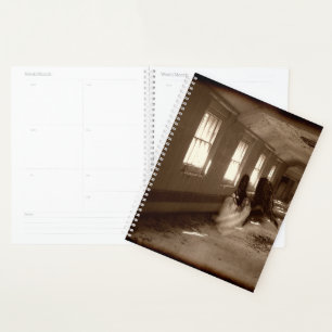 Agenda Falln Asylum Angel