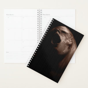 Agenda Falln Break Free