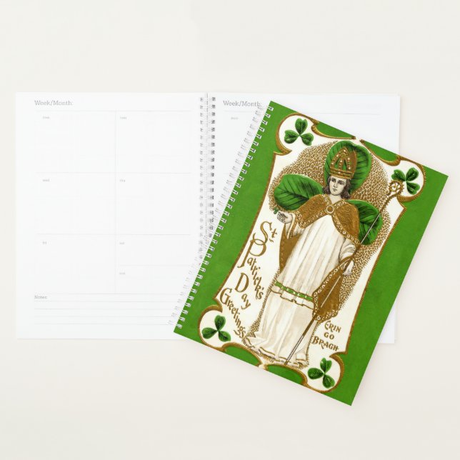 Agenda Falln Saint Patrick (Demostración)
