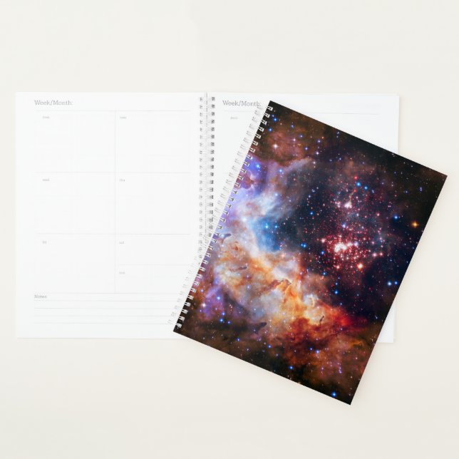 Agenda Falln Westerlund Starfield (Demostración)