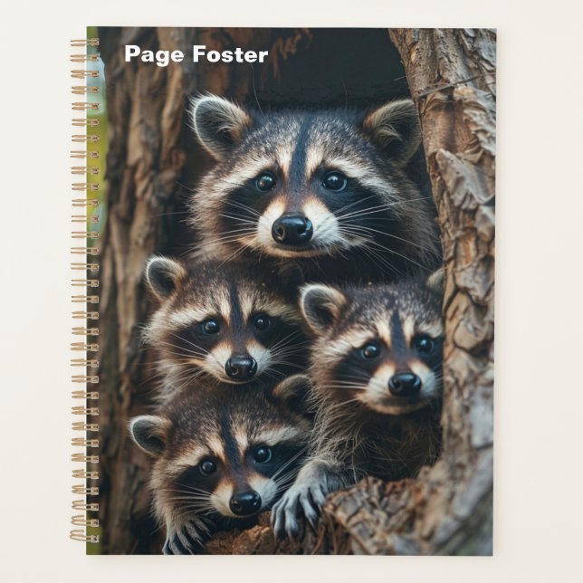 Agenda Familia Raccoon (Anverso)