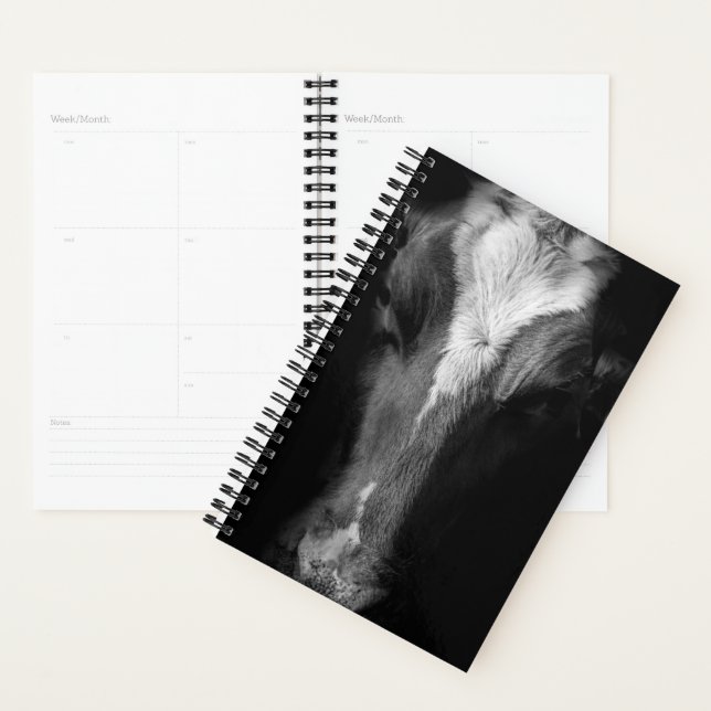 Agenda Farms | B&W Cow Head Shot (Demostración)