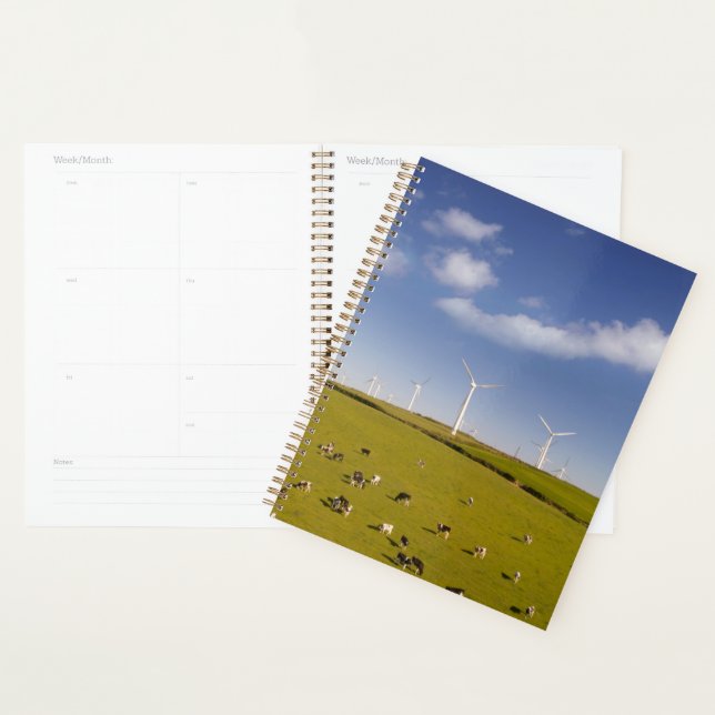 Agenda Farms | Cows Near Windmill Farm (Demostración)