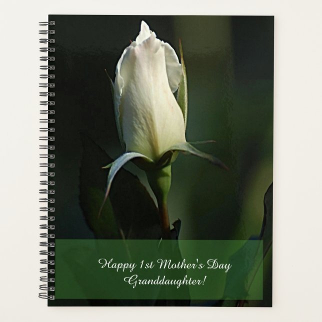 Agenda Feliz primer día, nieta de la madre (Anverso)