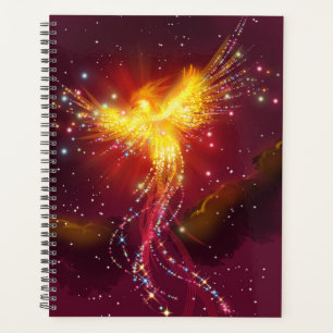 Agenda Fénix en vuelo