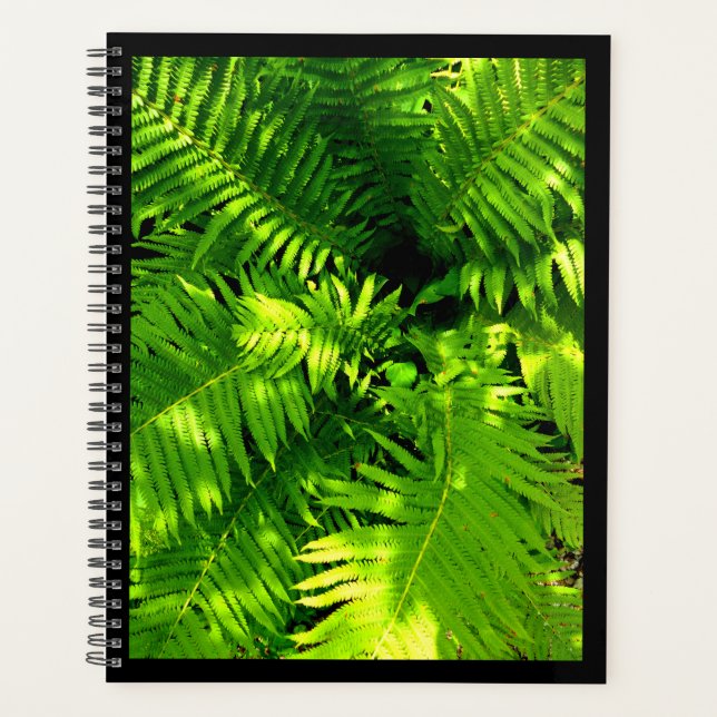 Agenda Fern (Anverso)