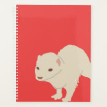 Ferret planner