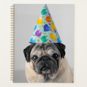 Agenda Fiesta Pug