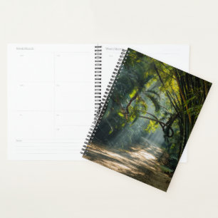 Agenda Filas de Bambú
