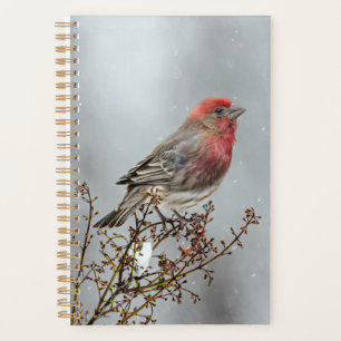 Agenda Finca de casa en nieve - Fotografía original