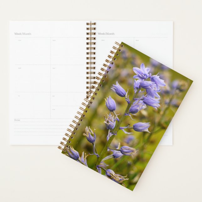 Agenda Fleurs (Demostración)