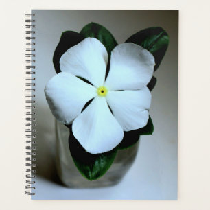 Agenda Flor blanca