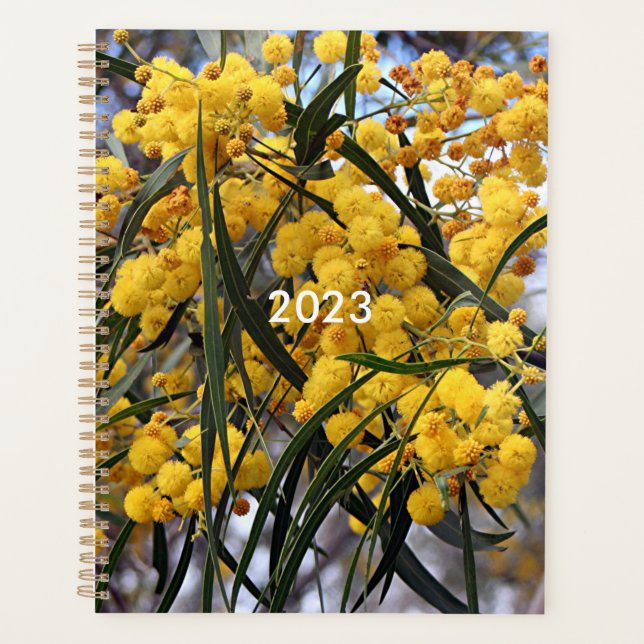 Agenda Flor de árbol de wena amarillo australiano (Anverso)
