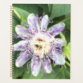Agenda Flor de la Pasión