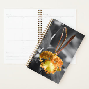 Agenda Flor de orquídea de mariposa amarilla