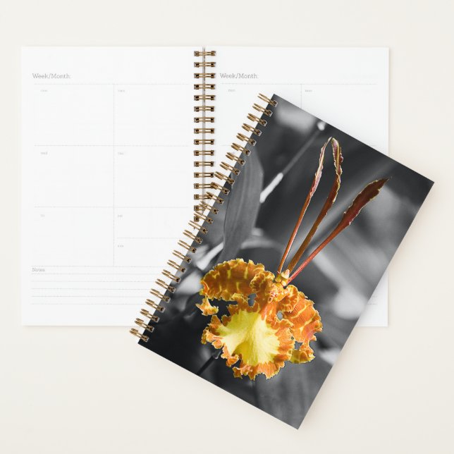 Agenda Flor de orquídea de mariposa amarilla (Demostración)