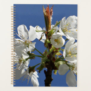 Agenda Flor de primavera blanca