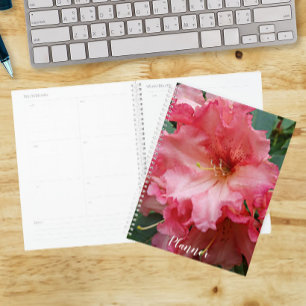 Agenda Flor de Rhododendron Rosa