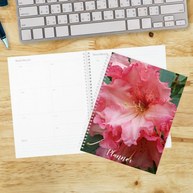 Agenda Flor de Rhododendron Rosa (In Situ)