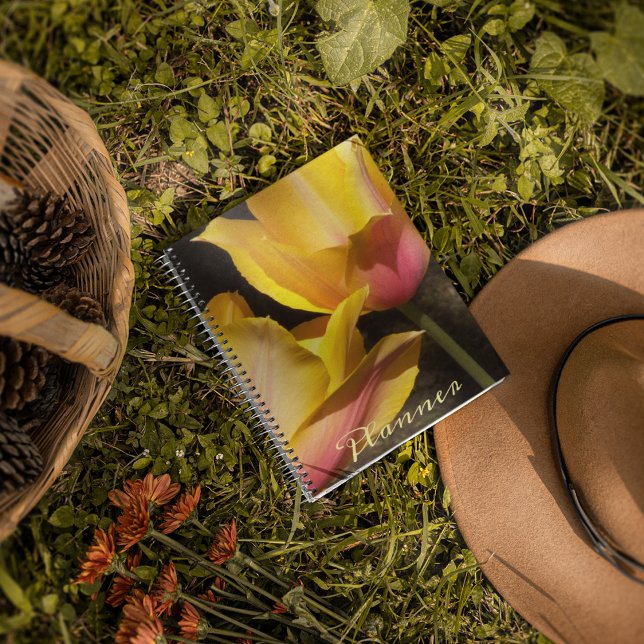 Agenda Flor de tulipanes rosa y amarilla (In Situ)