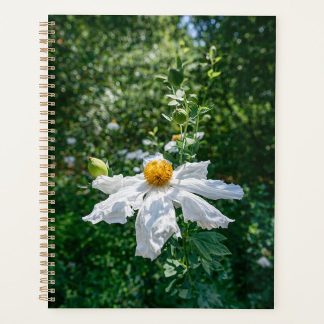 Agenda Flor delicada de luz forestal (Anverso)