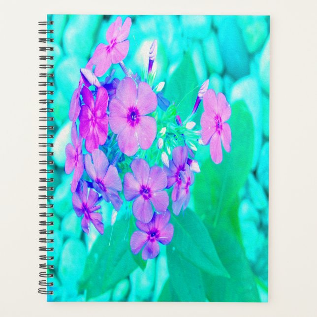 Agenda Flor Phlox de jardín rosado en Aquamarine (Anverso)