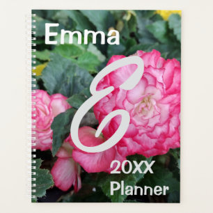 Agenda Flor rosa Begonia