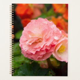 Agenda Flor rosa delgada después de la lluvia