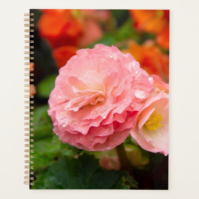 Agenda Flor rosa delgada después de la lluvia (Anverso)
