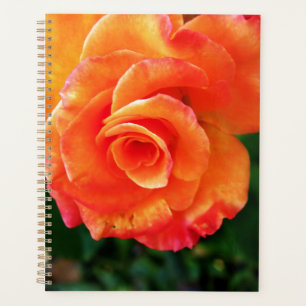 Agenda flor rosa naranja