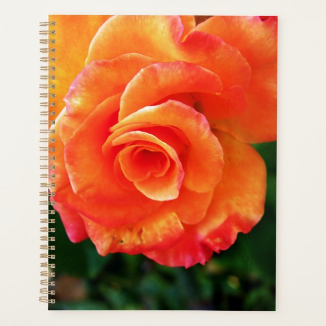 Agenda flor rosa naranja (Anverso)