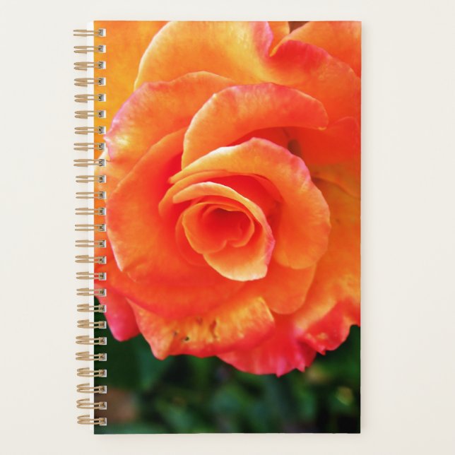 Agenda flor rosa naranja (Anverso)