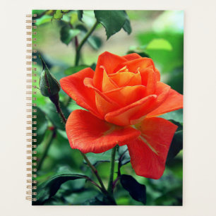 Agenda Flor rosa rosa de la naturaleza 46458