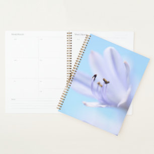 Agenda Flor suave pastoral azul púrpura