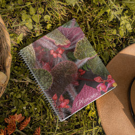 Agenda Floral colorida Hairy Begonia