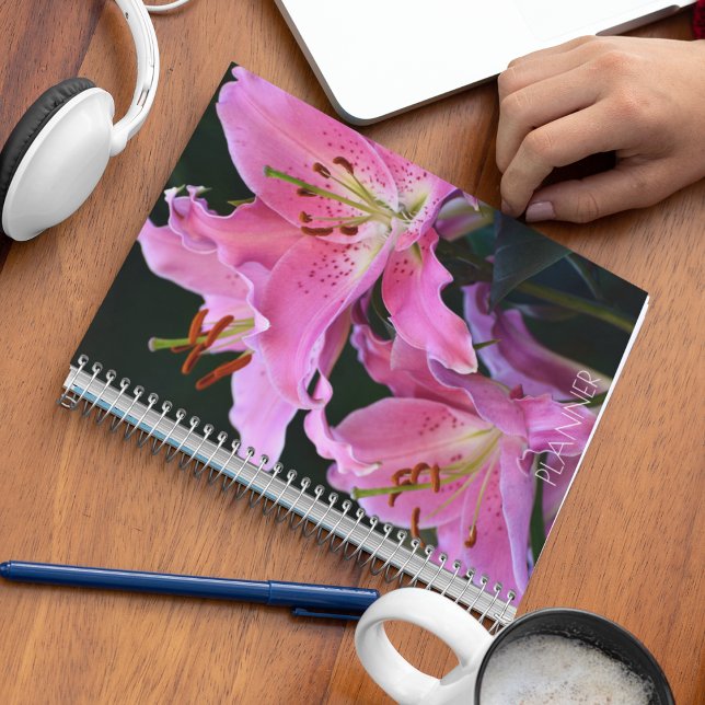 Agenda Floral de lirio rosado adorable (In Situ)